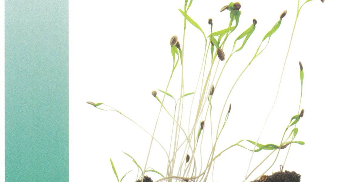 September 28, 2025 – Sixteenth Sunday after Pentecost